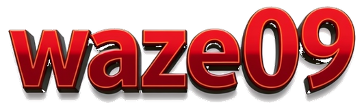 waze09 logo